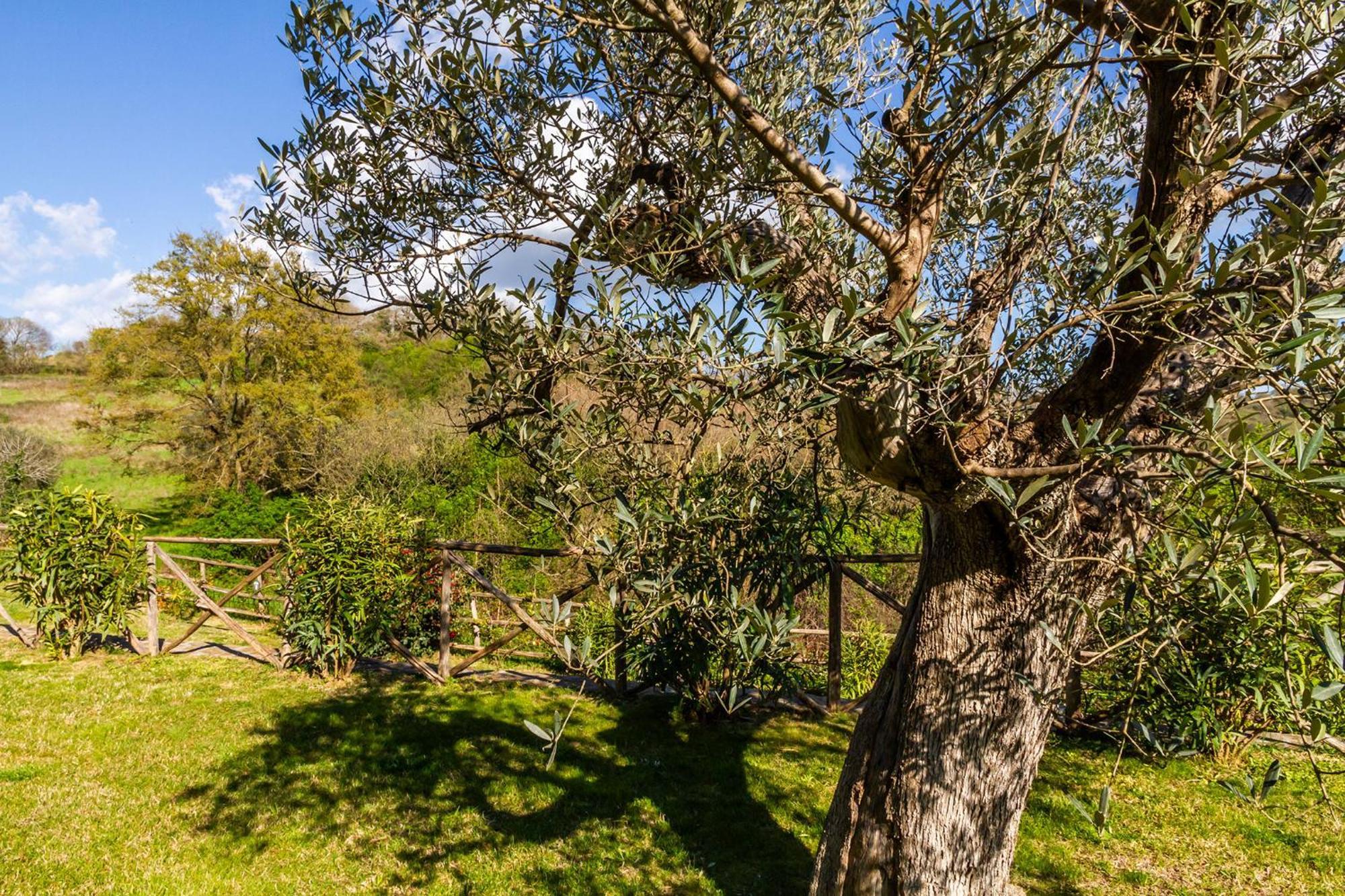 Home With A View In Scansano, Tuscany Экстерьер фото